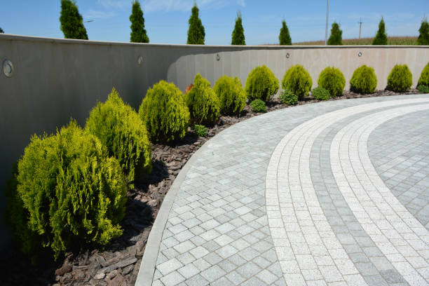 Professional Driveway Pavers in Corning, AR